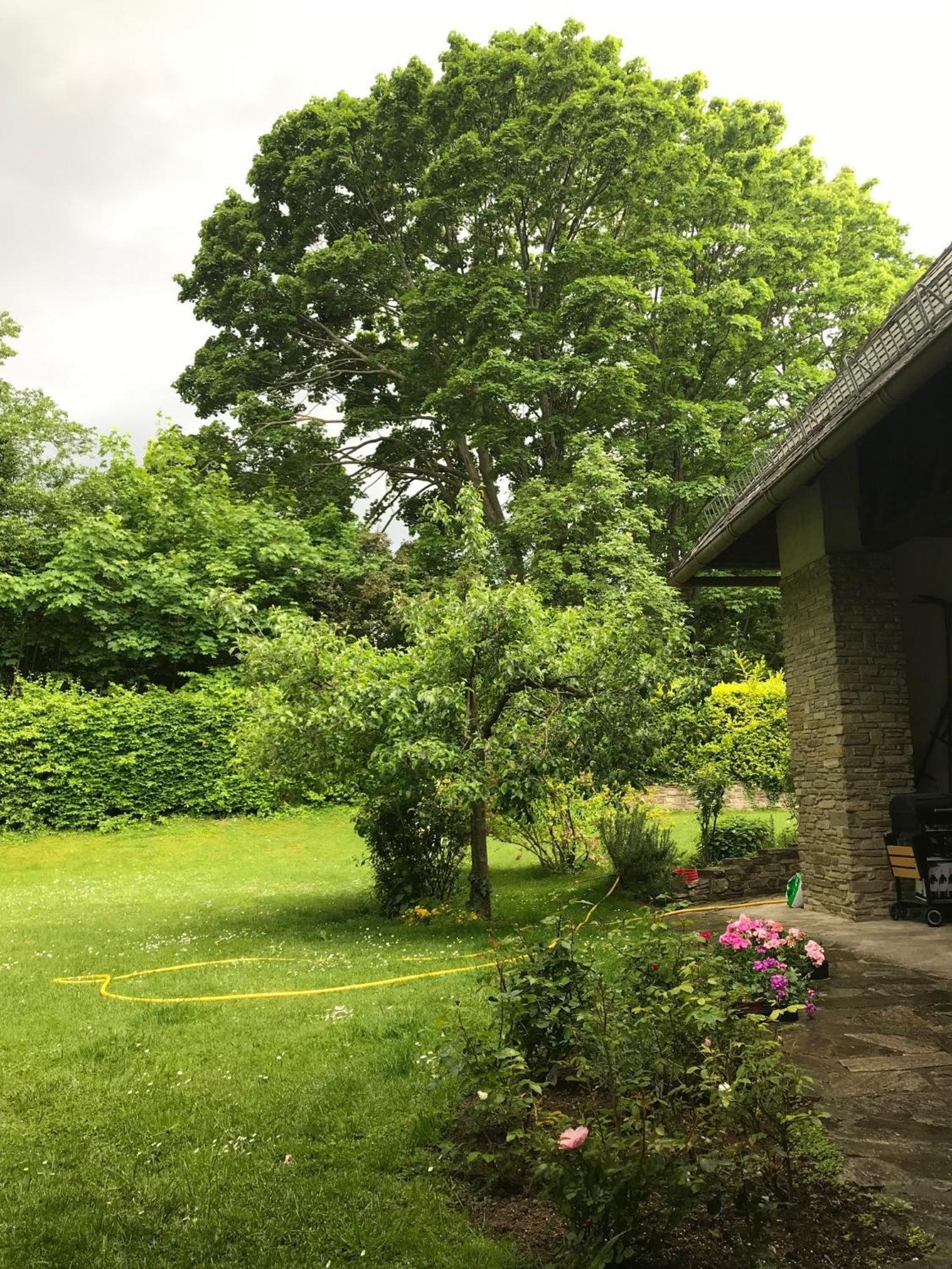 Landhaus Am Kurpark Leilighet Baden Eksteriør bilde