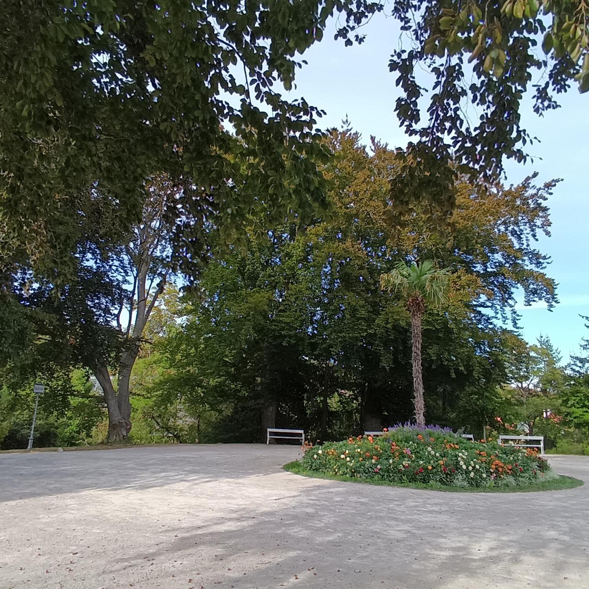 Landhaus Am Kurpark Leilighet Baden Eksteriør bilde